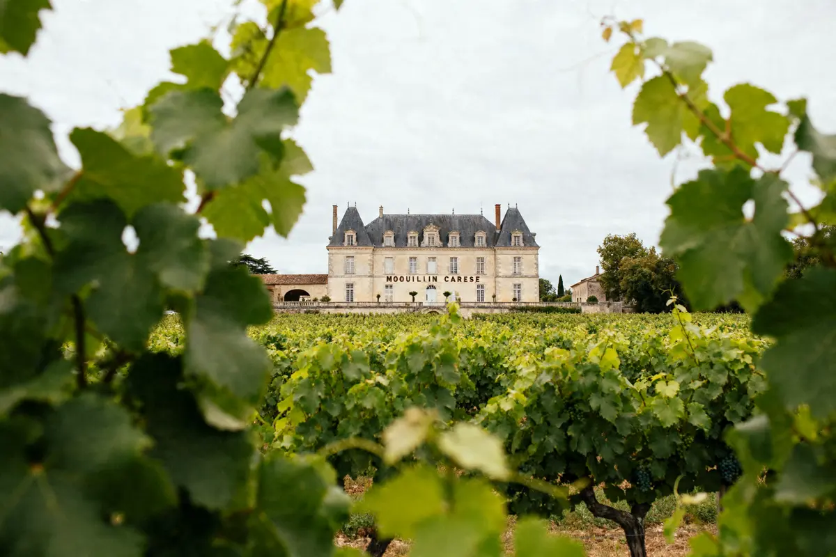 Chateau Moulin Caresse : Vins d’exception et vignoble d’origine