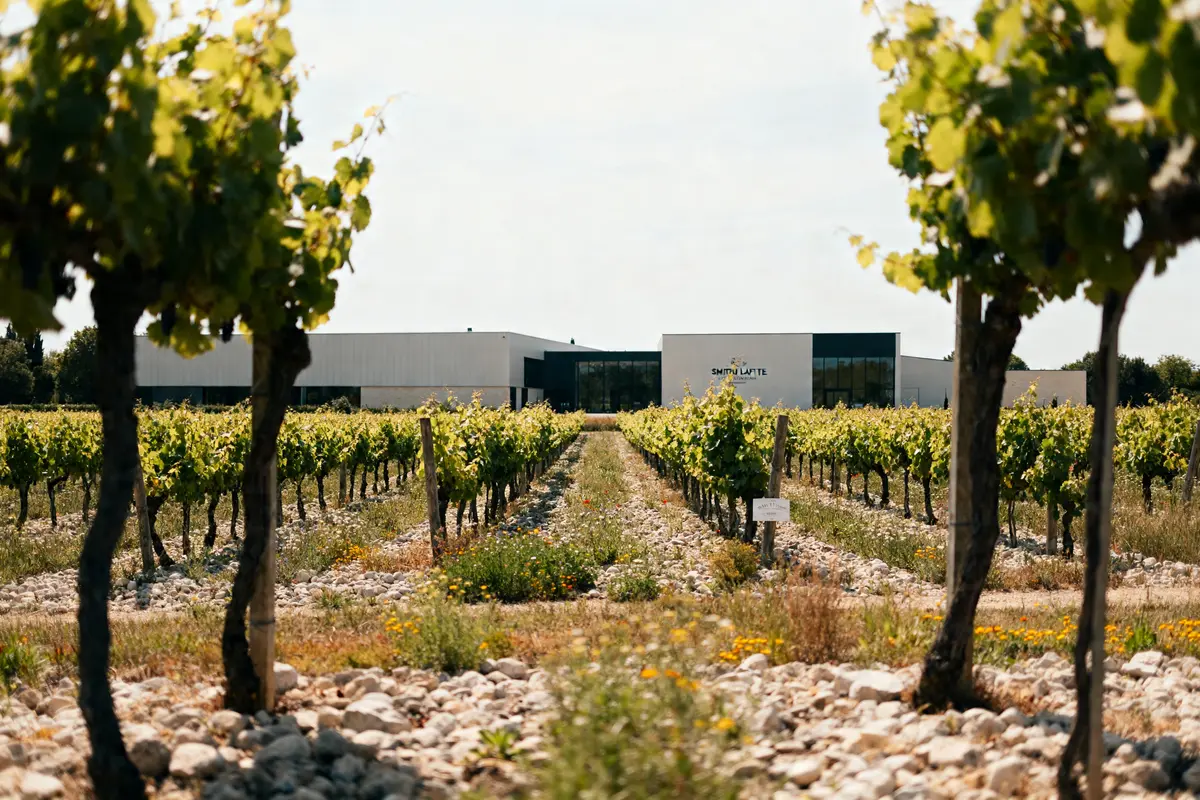 Smith Haut Lafitte : grand cru classé de Pessac-Léognan