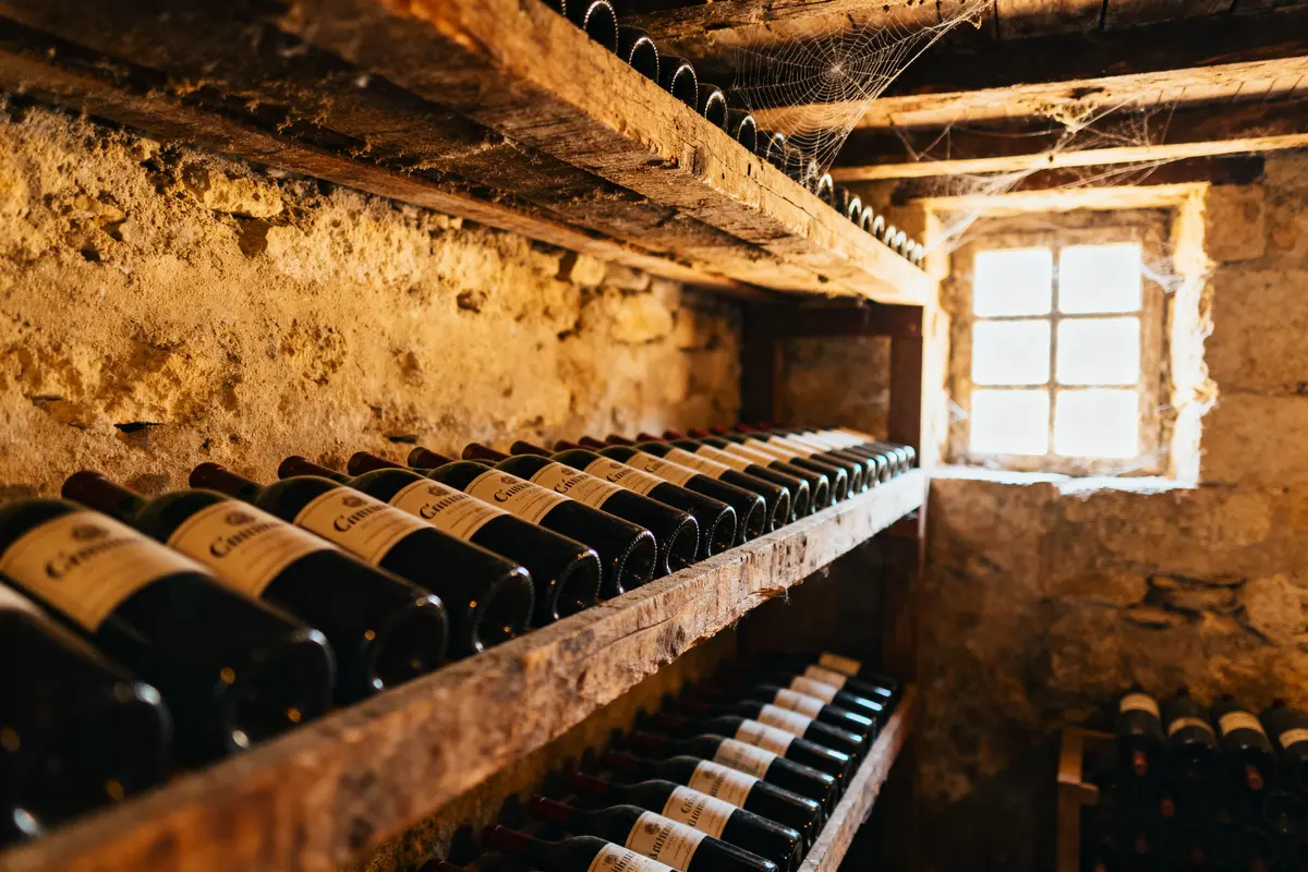 Grand cru Saint-Émilion : Quel vin choisir pour votre achat ?