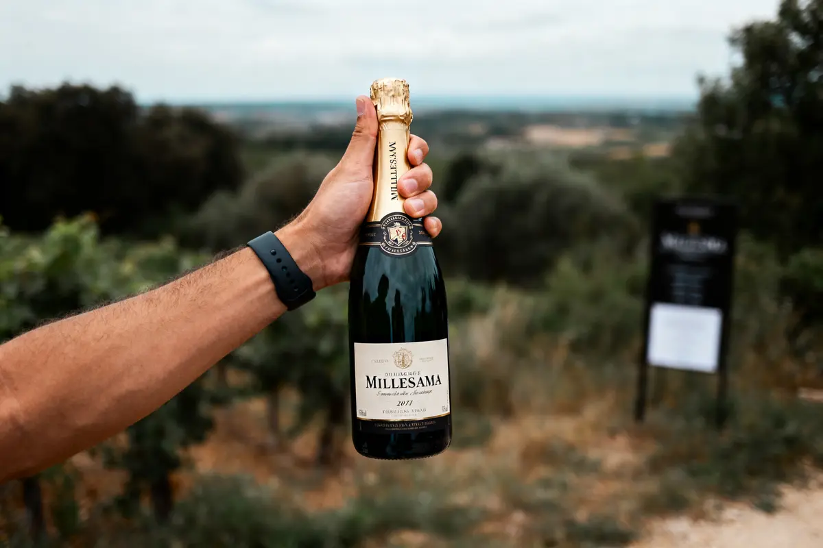 Millesima : Achetez des vins grands crus et champagnes !