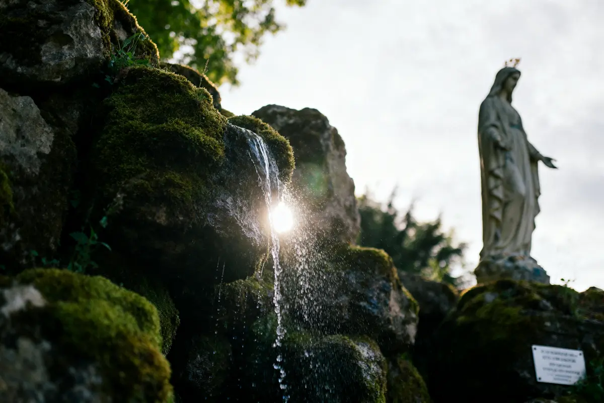 Découvrez le Parc du Sourdon : Randonnées Et Nature À Voir !
